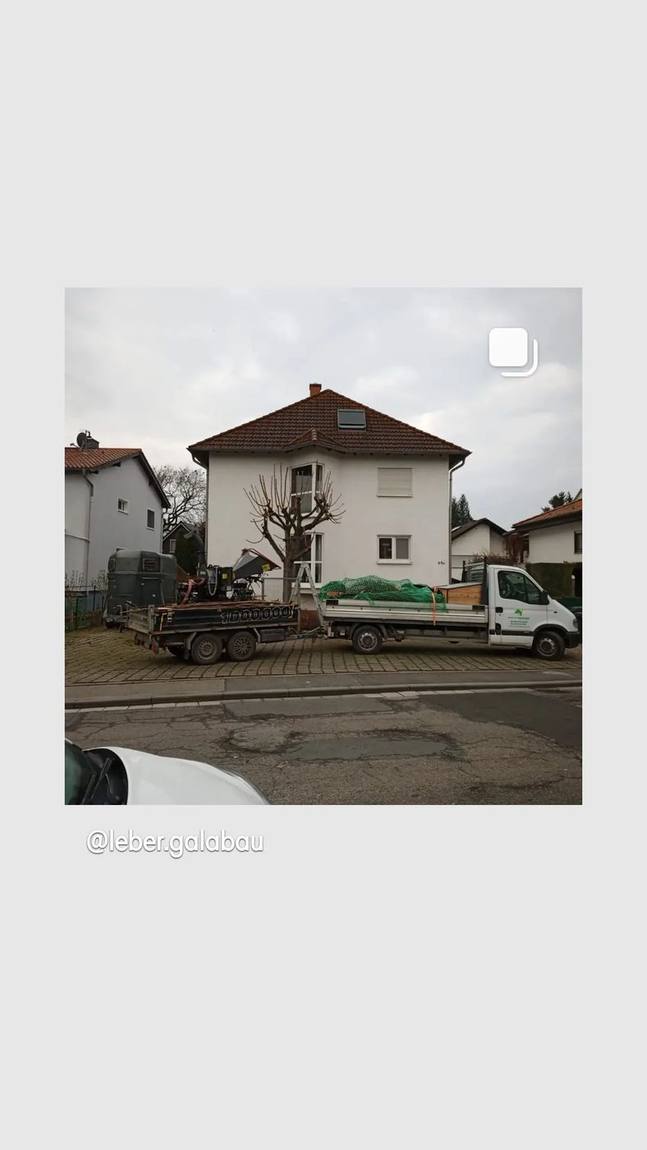 Baumarbeiten mit der Motorsäge