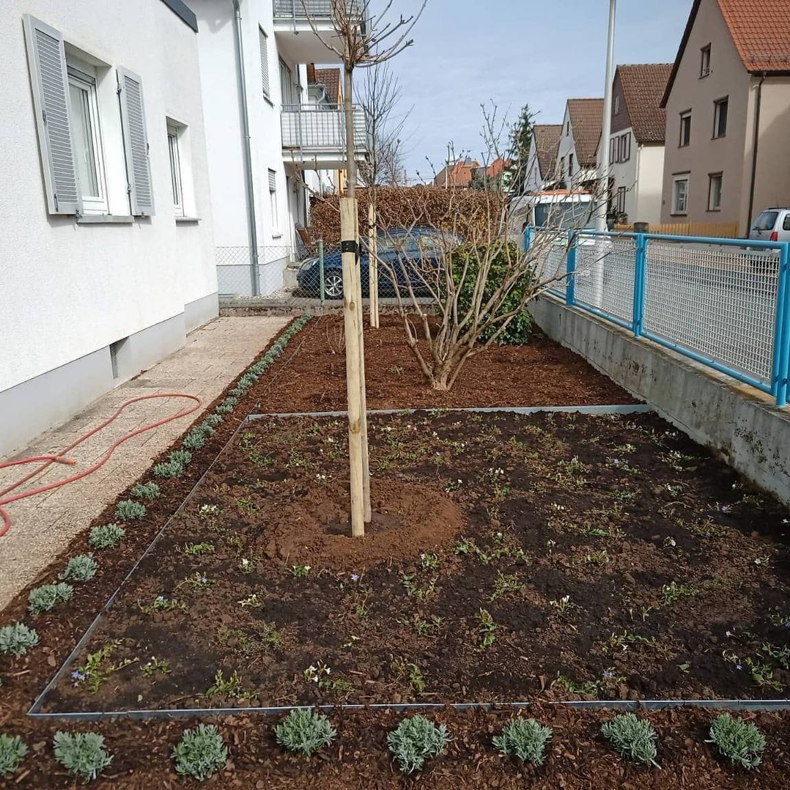 Neu bepflanztes Beet