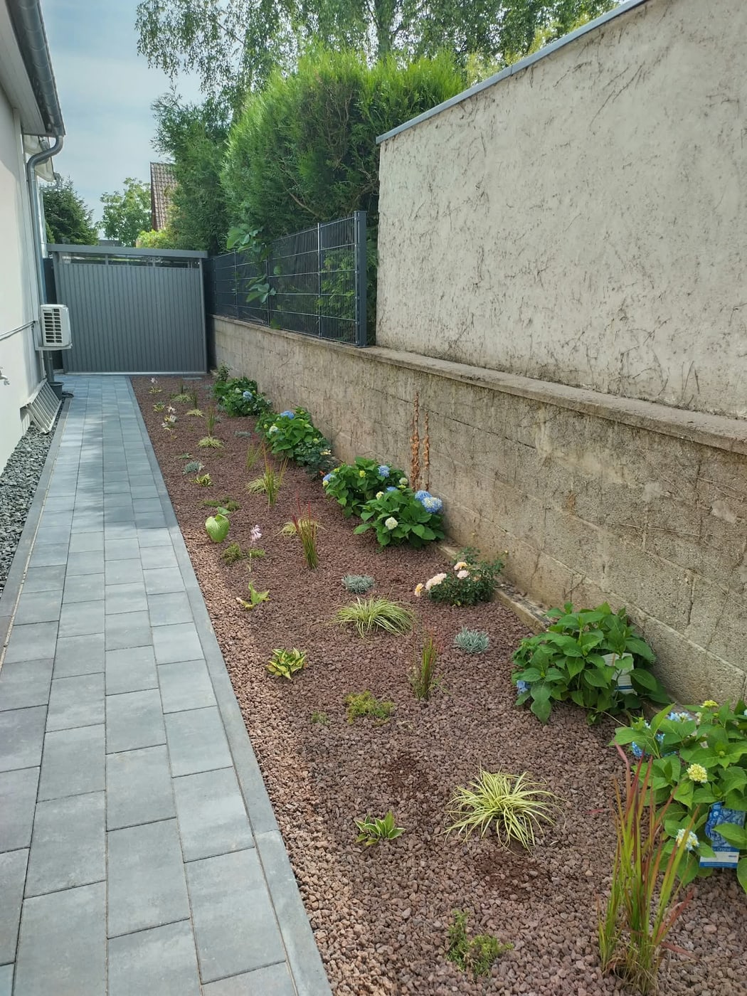 Neu bepflanztes Splittbeet mit Hortensien entlang der Mauer