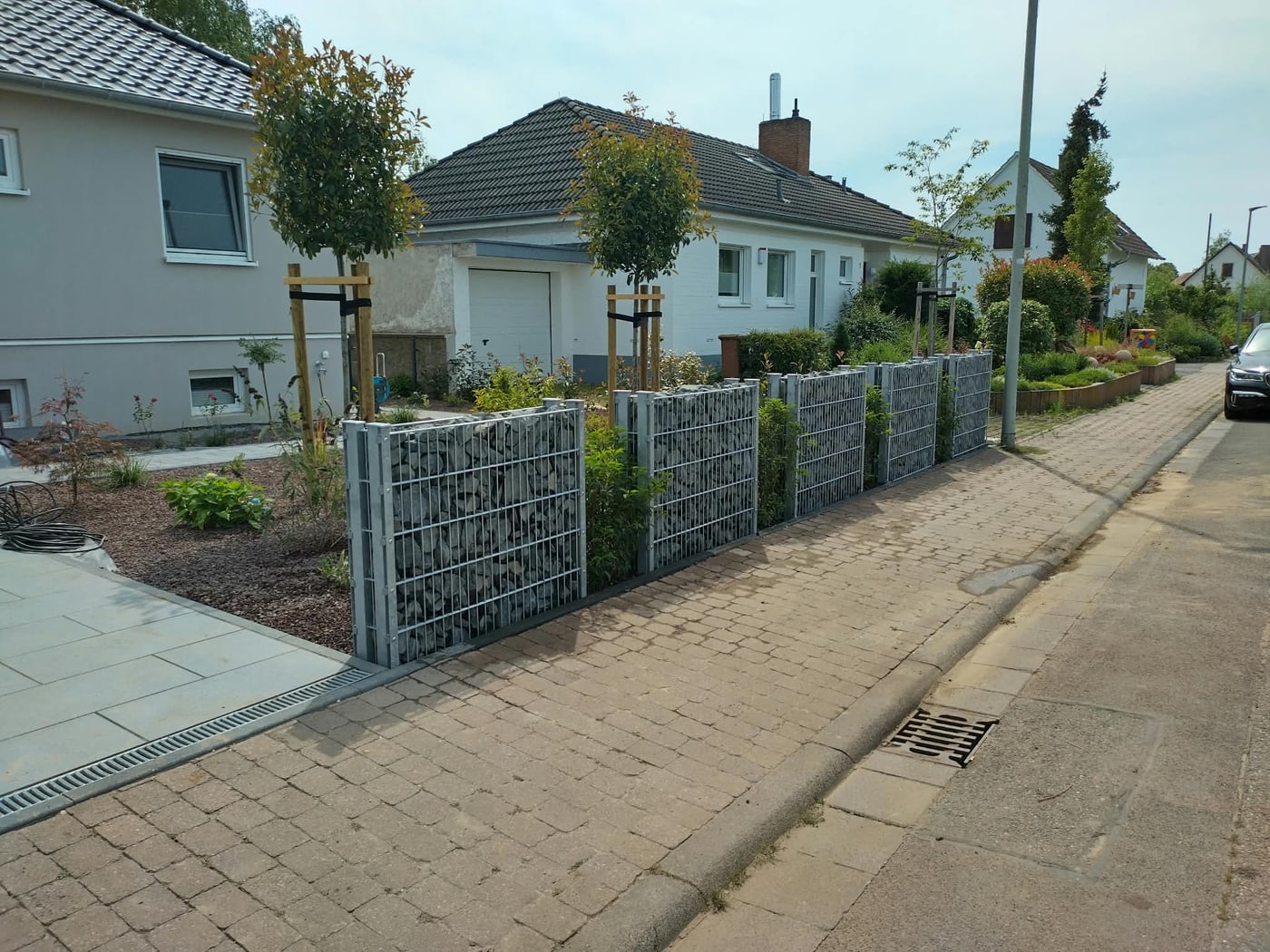 Gabionenzaun mit frisch gepflanzten Bäumen und Vorgartenbeet