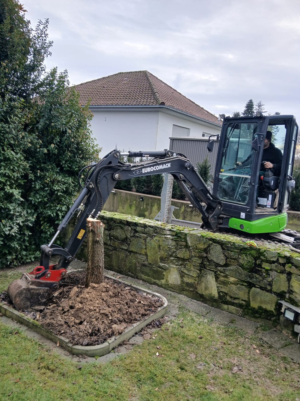 Minibagger zieht einen Wurzelstock aus dem Beet an der Natursteinmauer