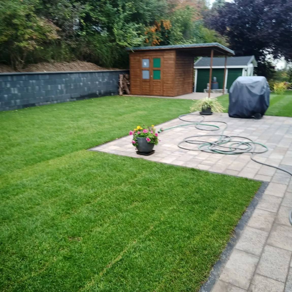 Fertig gestalteter Privatgarten mit Rasenfläche und Bepflanzung