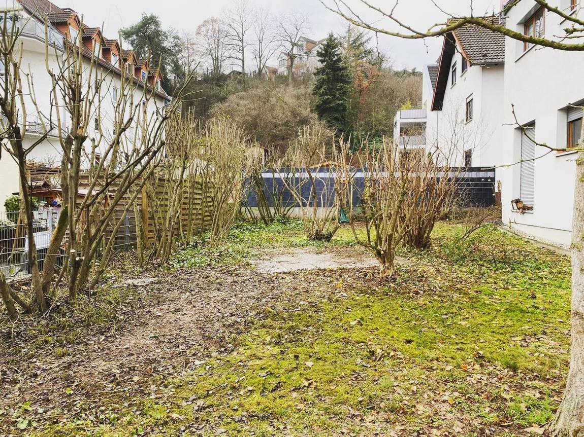 Grünanlage nach der Pflege
