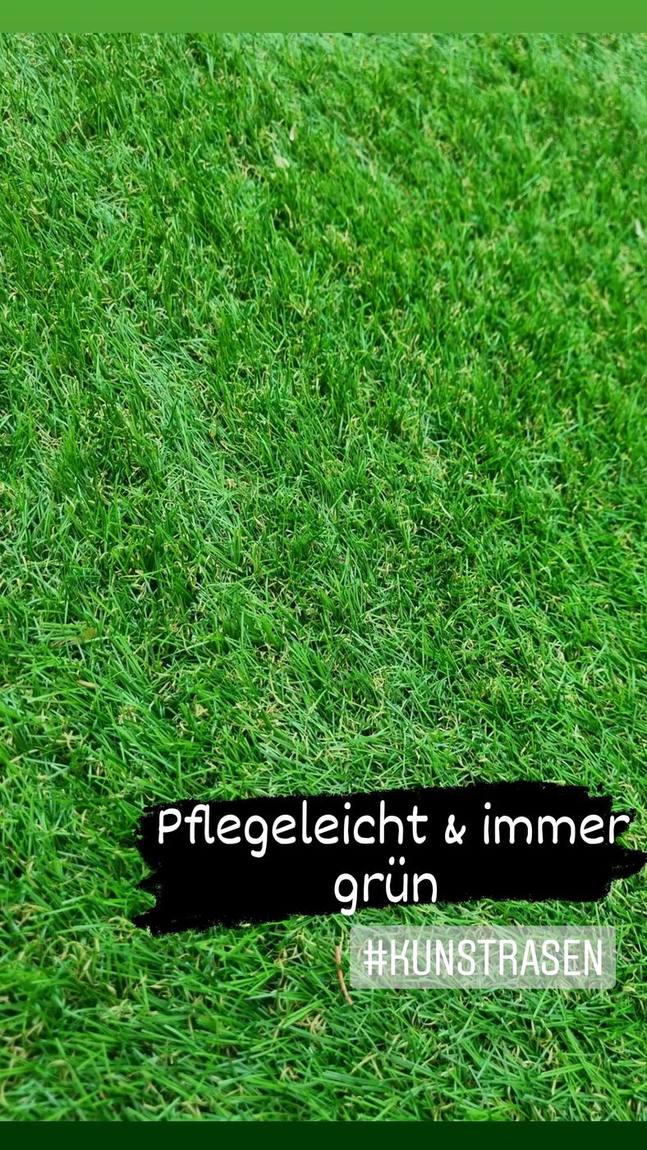 Neu angelegte Grünfläche