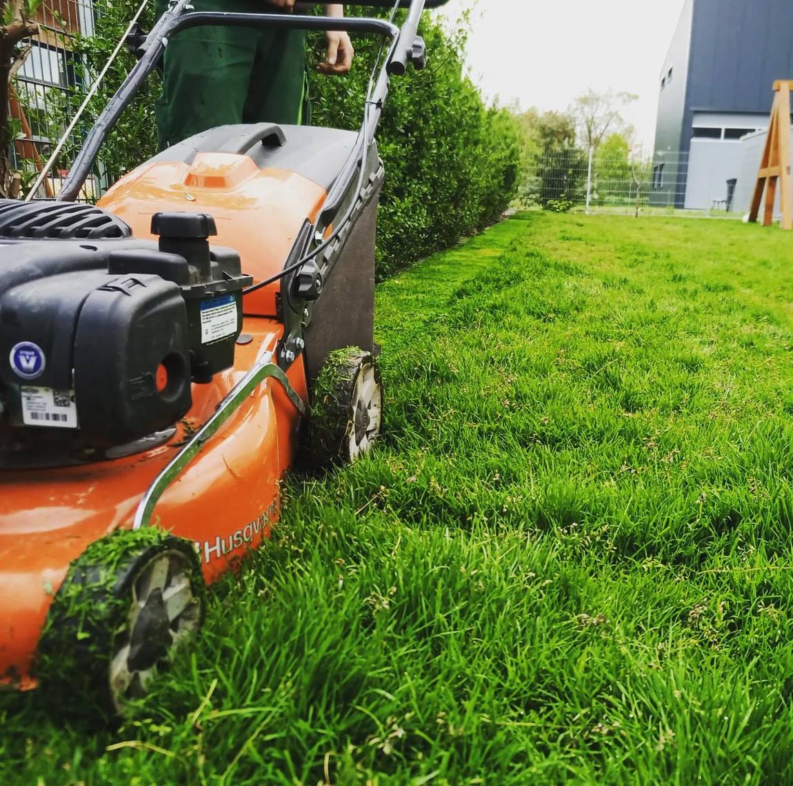 Rasenmäher beim Schnitt entlang der geschnittenen Hecke