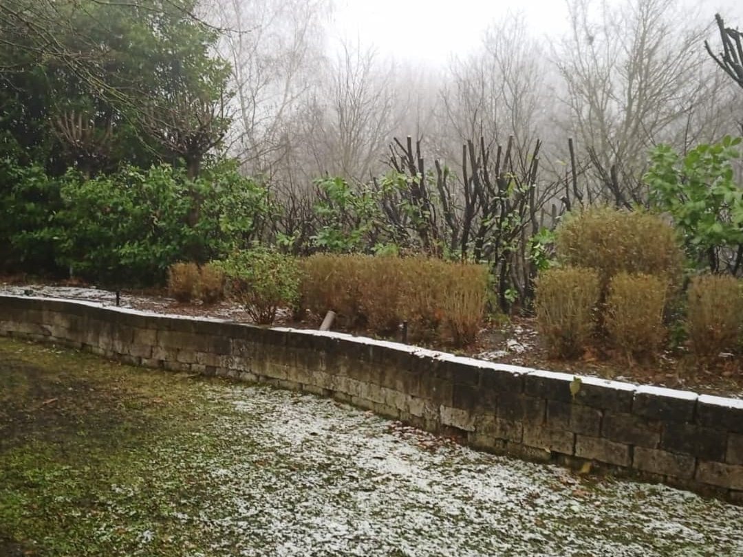 Mauer nachher: freigeschnittene Mauerkante entlang des Wegs